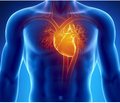 Серцева недостатність із фракцією викиду лівого шлуночка в проміжному діапазоні