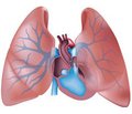 Clinical study of the effectiveness of the sublingual liquid sildenafil of domestic production  in patients with pulmonary hypertension