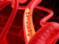 Сеть кровеносных сосудов успешно создана из стволовых клеток