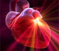Хронічна серцева недостатність зі збереженою систолічною функцією: особливості морфофункціонального стану тромбоцитів та їх зміни під впливом лікування