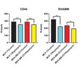 Rapamycin decreases the expression of hyaluronan receptors in MCF-7 and MDA-MB-231 breast cancer cell lines
