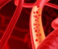 Влияние омега-3 полиненасыщенных жирных кислот на функциональные свойства сосудов у больных с артериальной гипертензией